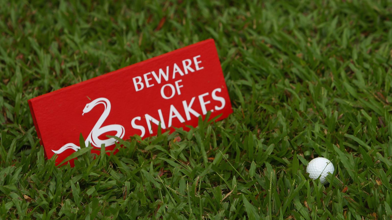 Wayne Riley catches a number of PGA Tour pros out with his fake snake