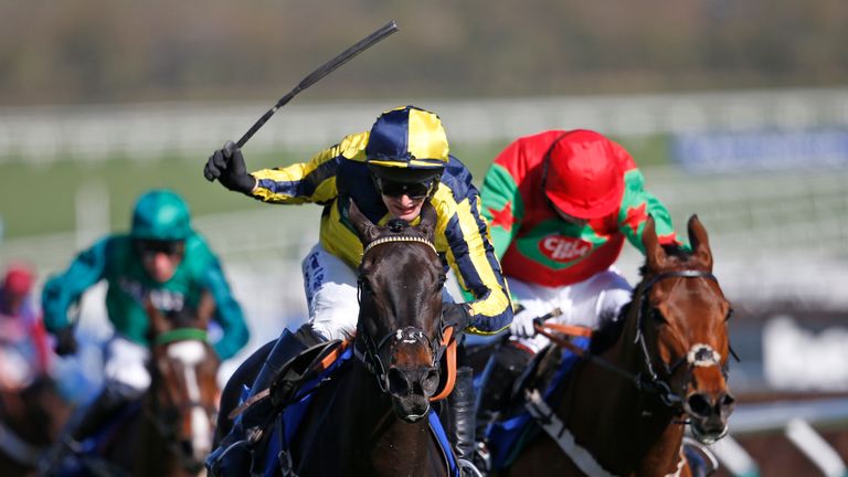 Willoughby Court - tributes paid to Cheltenham winner