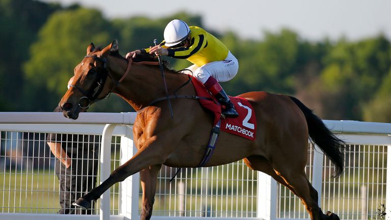 Frankie Dettori riding Big Orange win the Matchbook VIP Henry II Stakes at Sandown