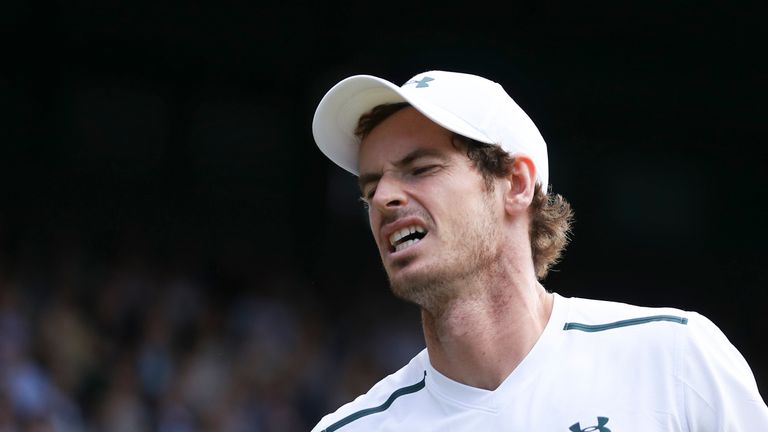 Andy Murray's 2017 was plagued by injury