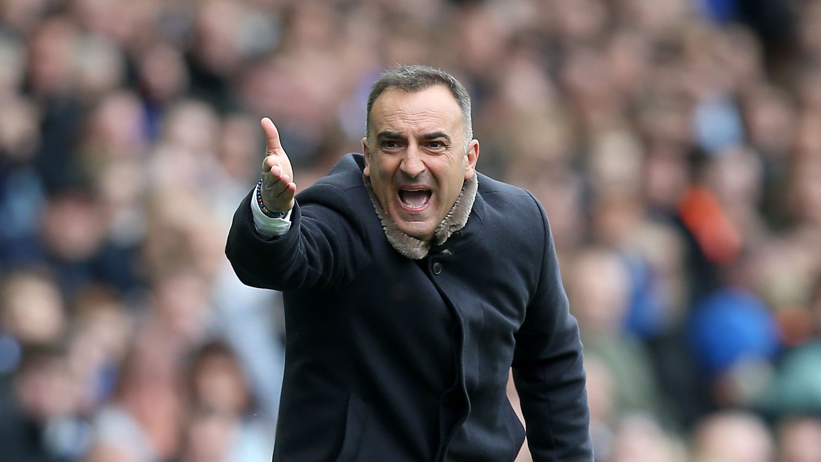 WATCH: Sheffield Wednesday boss Carlos Carvalhal's £20 ...