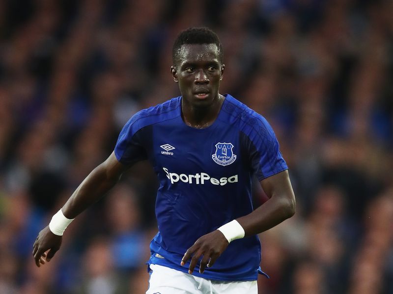 Idrissa Gueye  Everton  Player Profile  Sky Sports Football