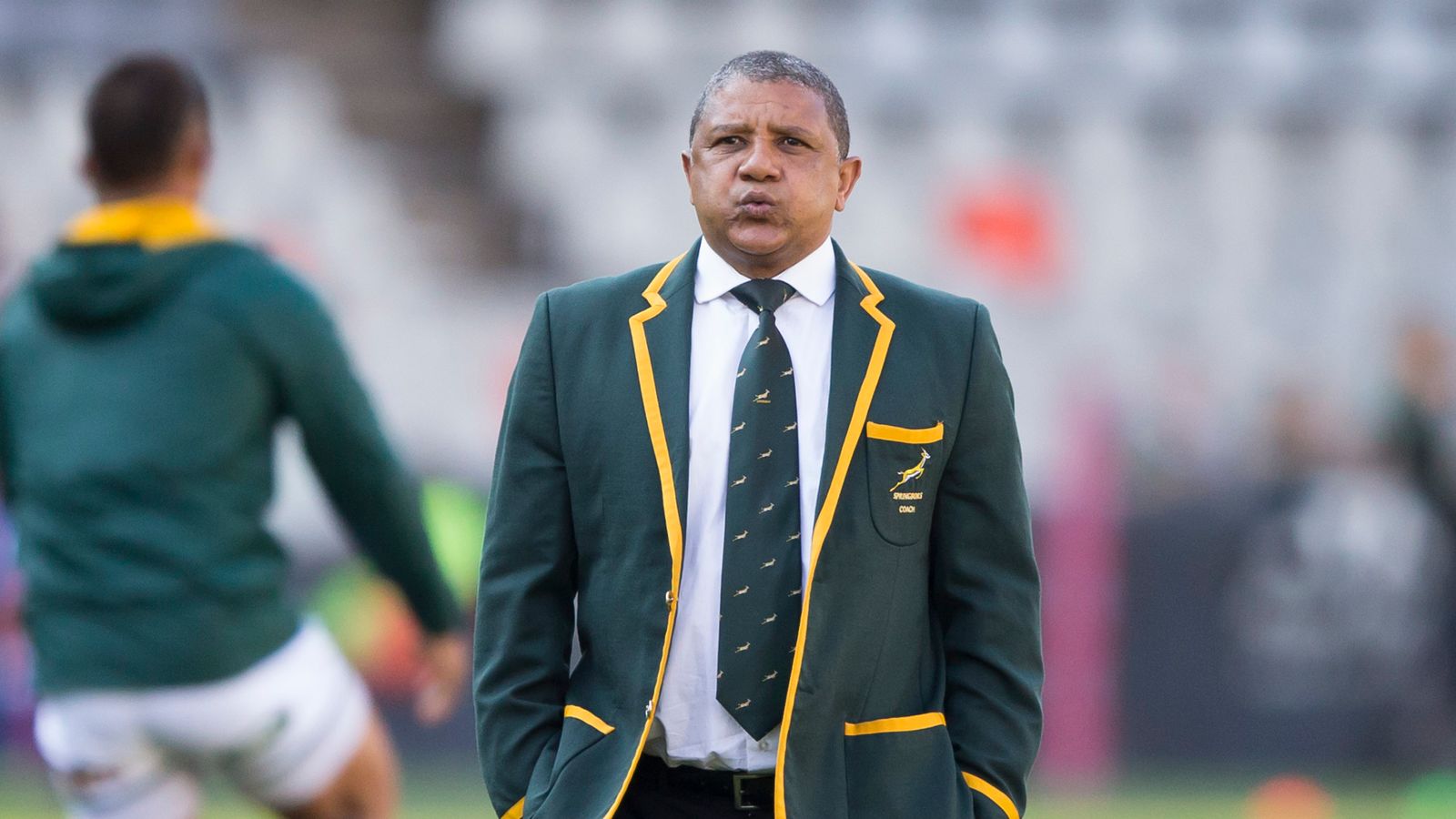 Springbok coach Allister Coetzee blasts SA Rugby Rugby Union News