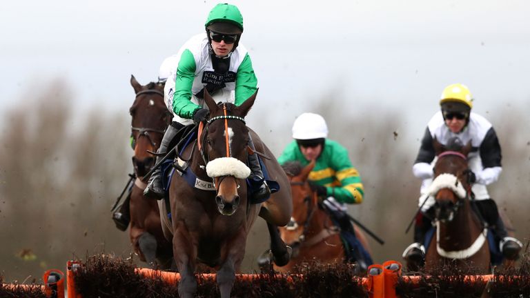 Vinndication: Won't run at Cheltenham or again this season