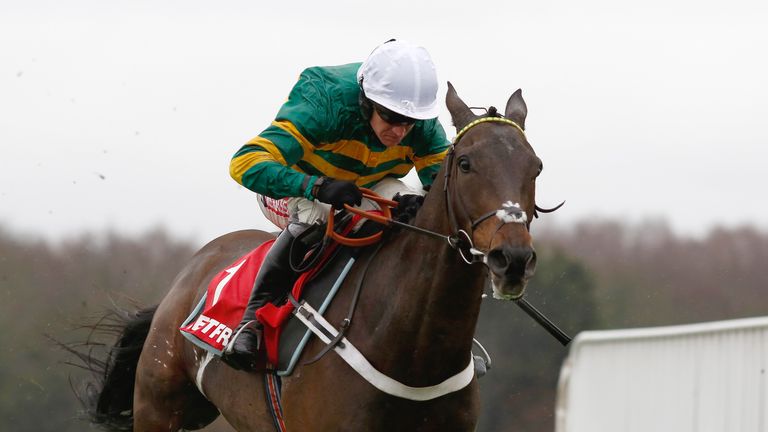 Buveur D'Air - bidding to win third Unibet Champion Hurdle