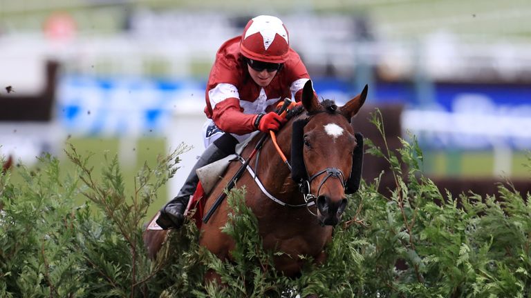Tiger Roll