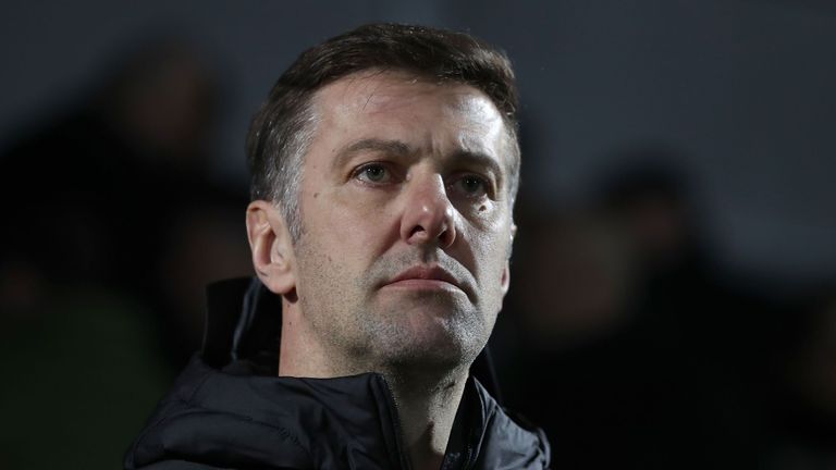 Manager Mladen Krstajic is yet to take charge of a competitive game for Serbia