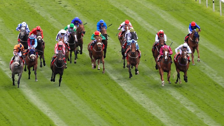 The field thunder home in the opener at York on Friday