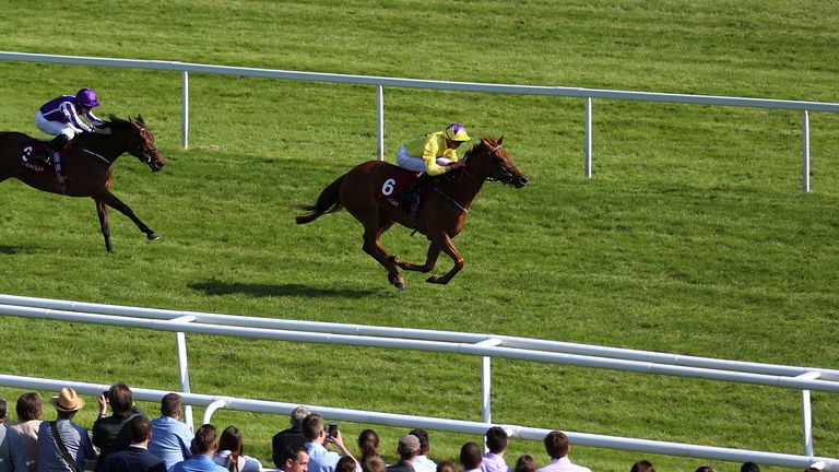 Sea of Class ridden by James Doyle