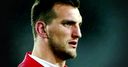 Warburton joins Wales coaching staff