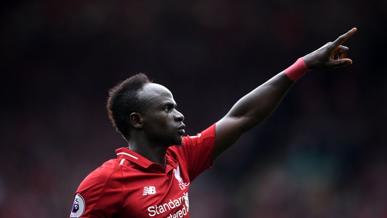 Image result for mane