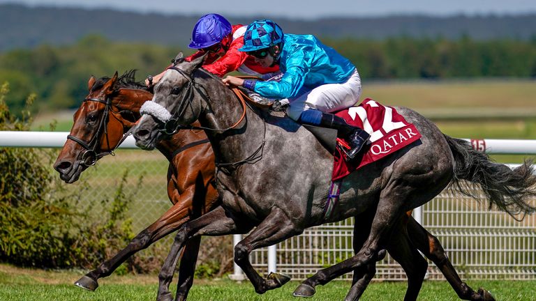 Maid Up - runs in the William Hill St Leger