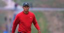 Tiger: Ryder Cup defeats 'tough'