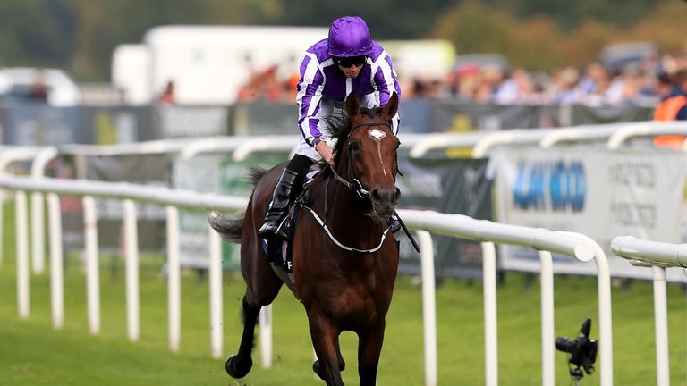 Kew Gardens wins the William Hill St Leger at Doncaster