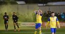 Brave Borough beaten by Dons