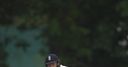 Pope earns Lions one-day series lead