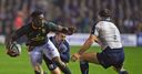 Kolisi in the clear over headbutt