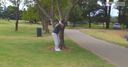 WATCH: Grace's tree trouble in Joburg