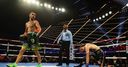 Lomachenko unifies lightweight belts