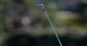 Sony Open: Latest leaderboard