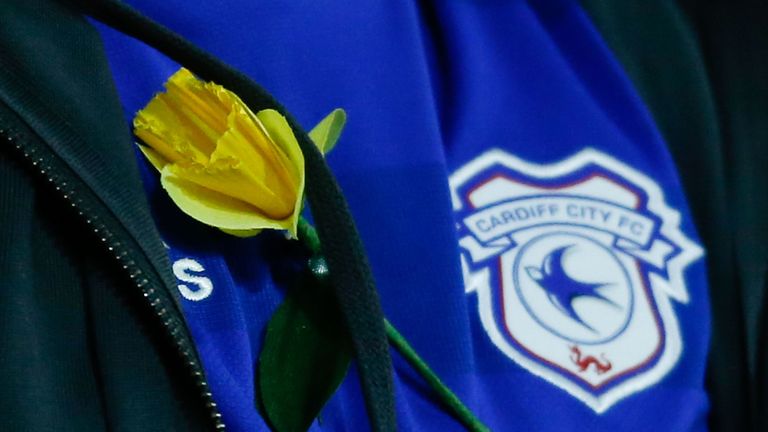 A Cardiff fan is wearing a yellow daffodil in the honor of missing striker Sala