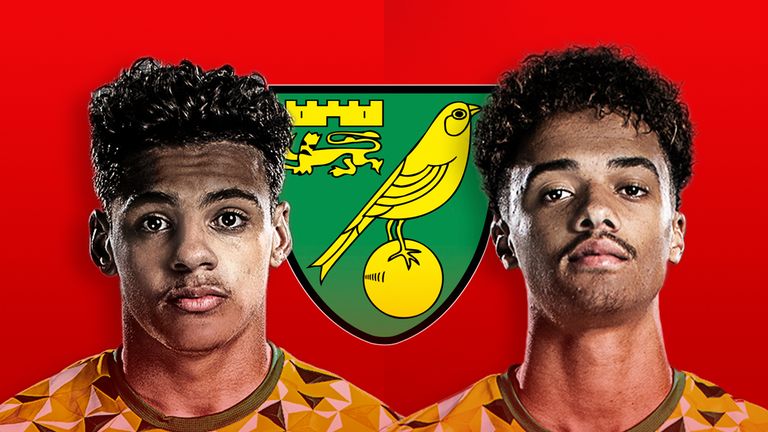 Max Aarons and Jamal Lewis have impressed for Norwich City