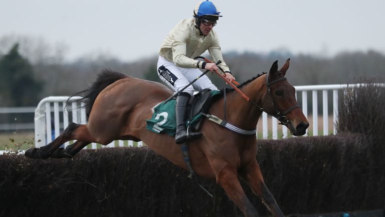 Hazel Hill ridden by Alex Edwards winning at Warwick