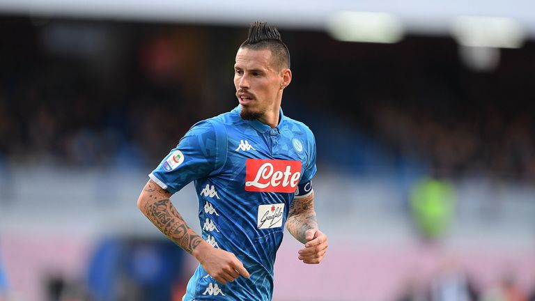 Image result for hamsik