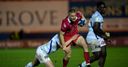 McNicholl signs new Scarlets deal