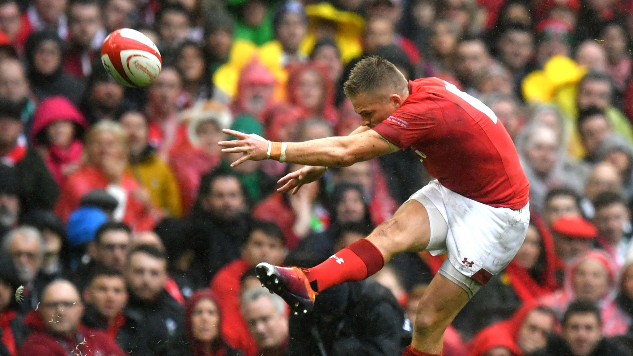 Rugby Union: Gareth Anscombe has joined Cardiff Blues from Waikato