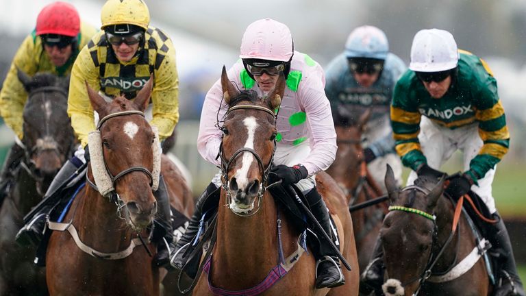 Faugheen - makes debut over fences at Punchestown