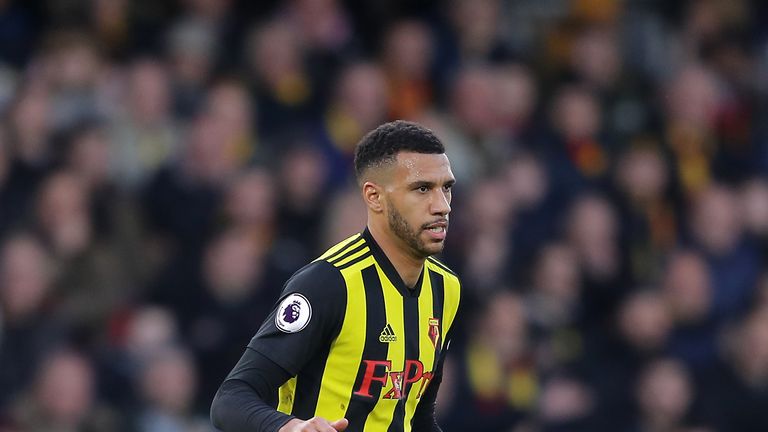 Etienne Capoue could return for Watford