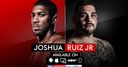Joshua-Ruiz for non-Sky TV subscribers