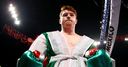 Canelo's hurtful masterclass