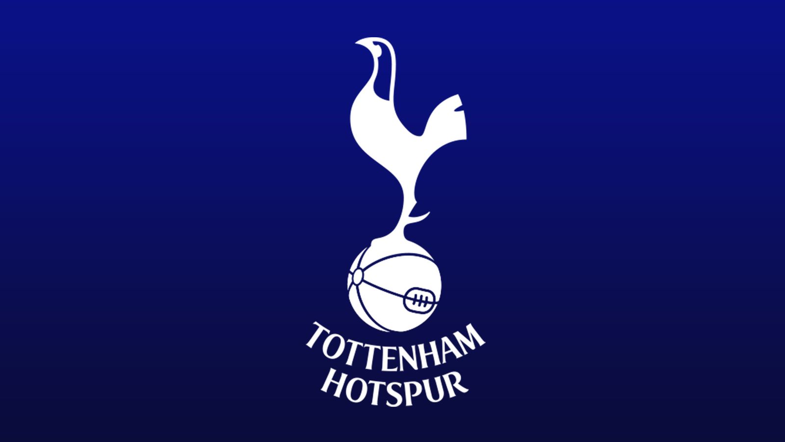 Tottenham team and player season stats in the Premier League 2018/19