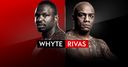 Book Whyte vs Rivas repeats