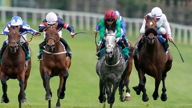 Technician (grey) in action at Sandown