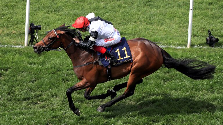Star Catcher - will be added to Irish Oaks field
