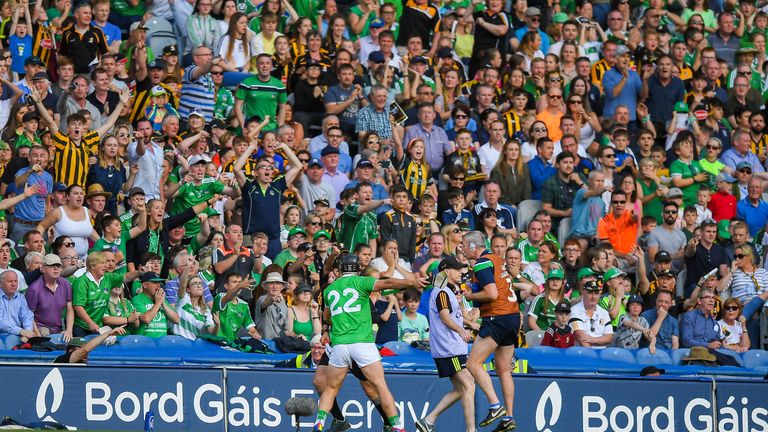 Darragh O'Donovan appeals to the linesman at the end of Limerick's clash with Kilkenny