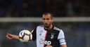 Chiellini out for up to six months