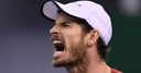 Andy Murray to play Davis Cup