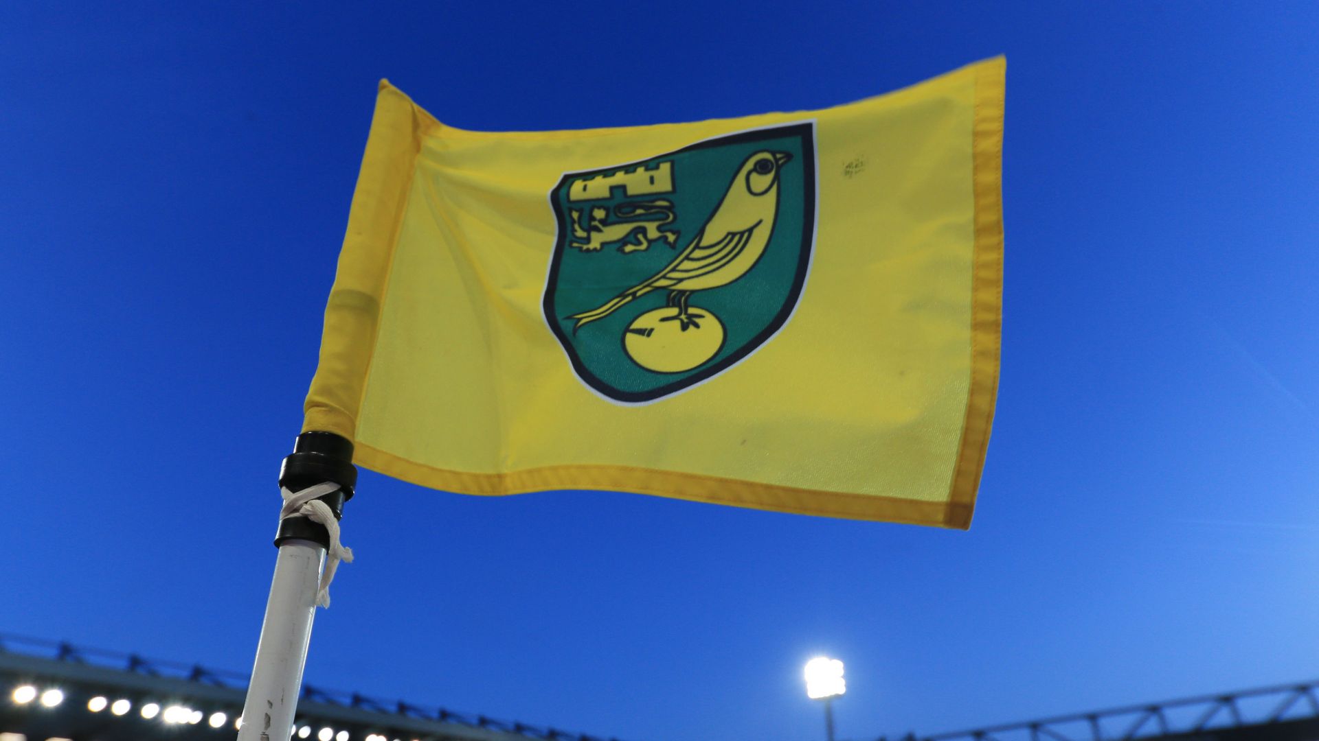 Norwich player one of two positive tests in PL