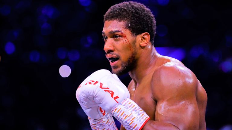 Anthony Joshua will face Kubrat Pulev in his next world title fight