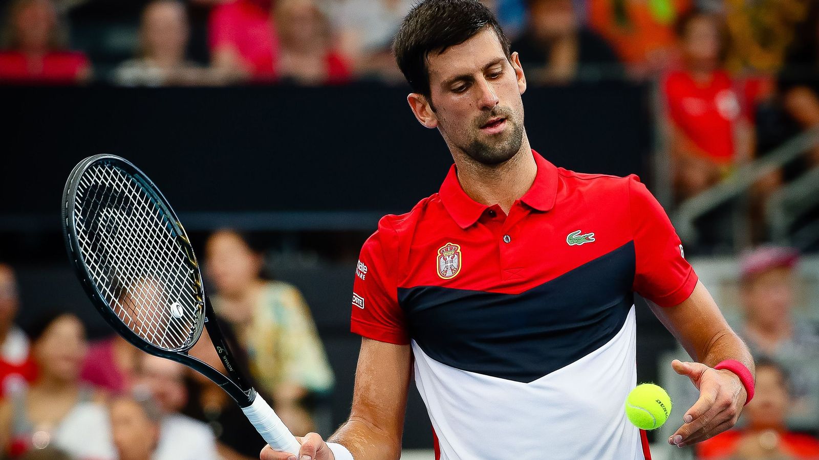 Novak Djokovic helps Serbia reach ATP Cup quarter-finals | Tennis News | Sky Sports