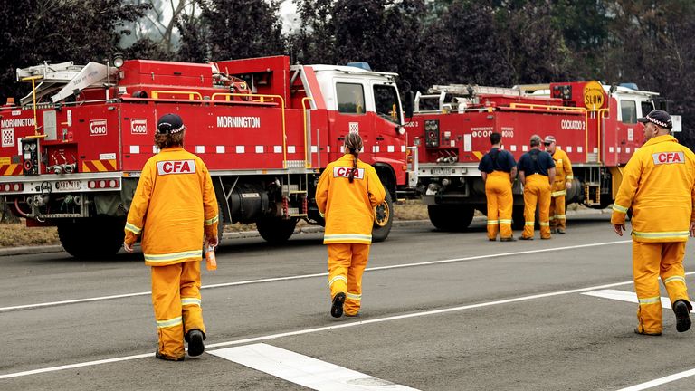 Australia ha sido devastada por incendios forestales en los últimos meses