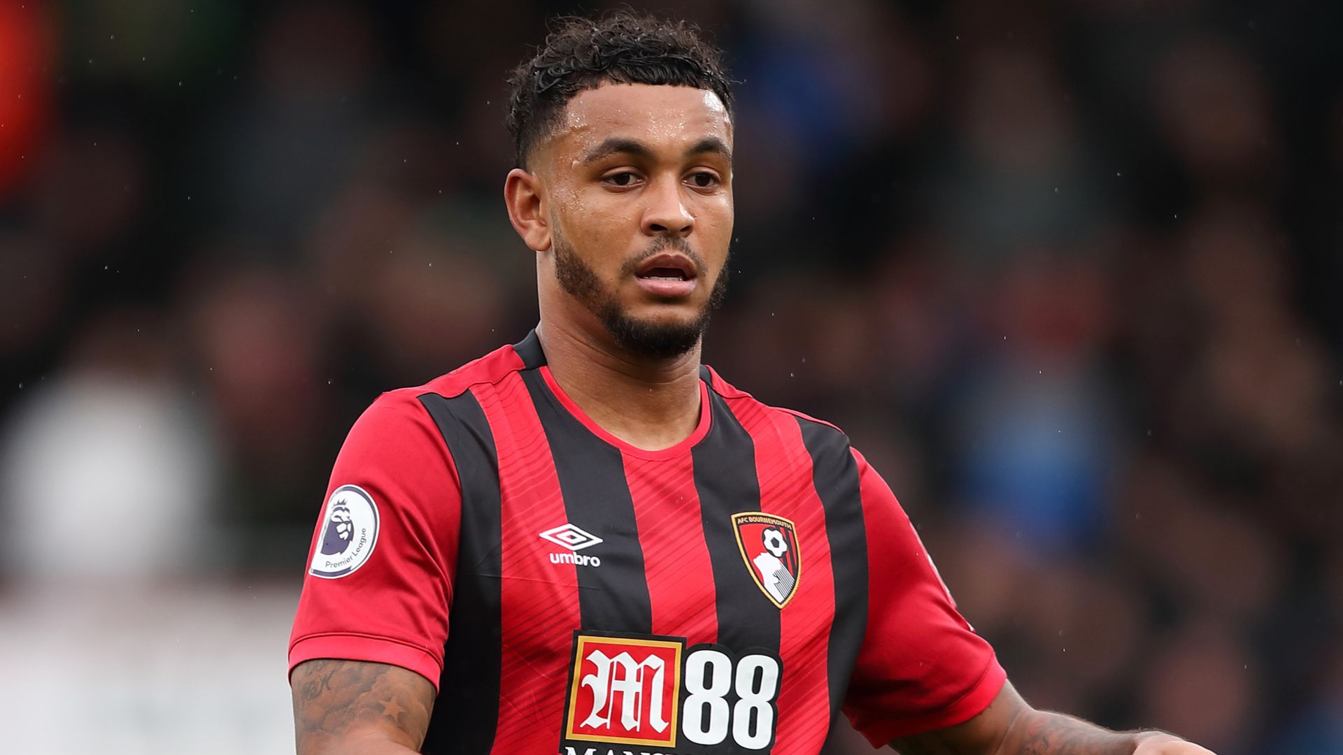 Four of PL top six want Bournemouth's King
