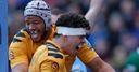 Wasps fight back to beat London Irish