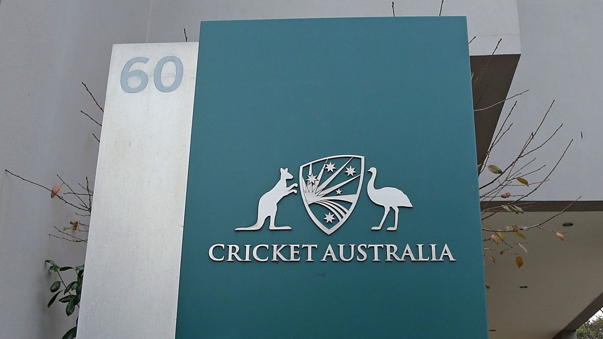 Cricket Australia to cut 40 jobs, slash executive pay