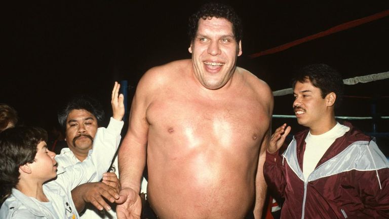 Andre The Giant was hugely popular around the world and was one of the highest-paid wrestlers of all time (picture: WWE.com)