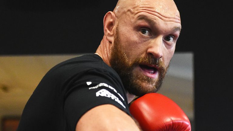 Fury has abandoned plans for a homecoming clash in December 